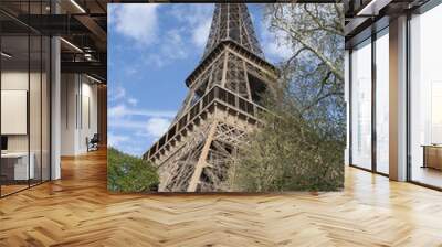 Paris, France: a tree with view from below of The Eiffel Tower, metal tower completed in 1889 for the Universal Exposition and became the most famous monument in Paris
 Wall mural