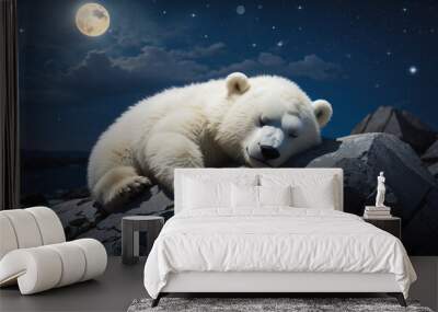 bear is sleeping in night Wall mural