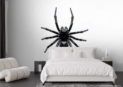 A sleek and minimalist black spider logo design, isolated on a transparent background. Wall mural