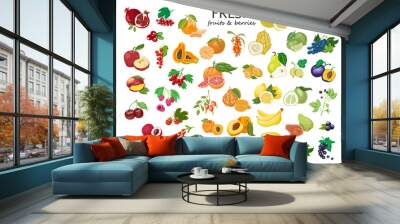 Big set of colored fruits and berries. Wall mural