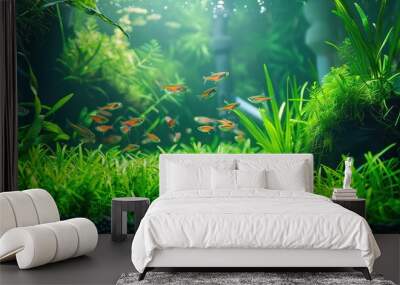 fish in freshwater aquarium with green beautiful planted tropical  Wall mural