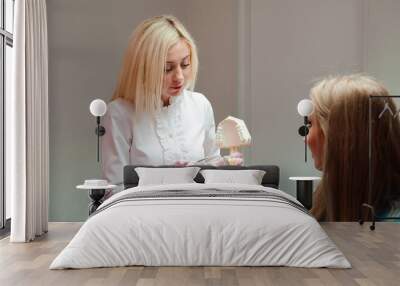 female dentist talking to patient, showing dental jaw model in d Wall mural