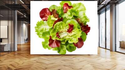 lettuce and tomato Wall mural