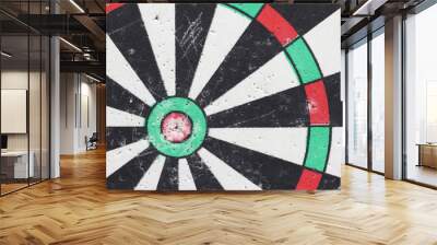 dart board Wall mural