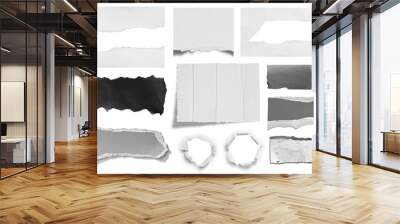 torn paper isolated on white background Wall mural