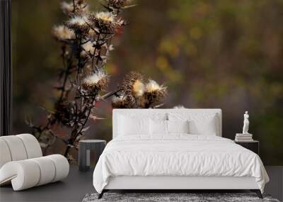 Autumn in nature, plants in the natural color of paints and natural still lifes of the outgoing summer. Wall mural