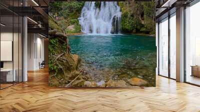 A beautiful Waterfalls of Tamasopo san luis potosi mexico Wall mural