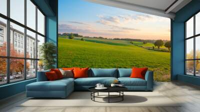 Grassy fields and trees with lush green foliage in green rolling hills below a blue sky in the light of sunset in summer Wall mural