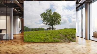 Two horses under a tree in summer Wall mural