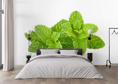 Fresh raw mint leaves isolated on white background Wall mural