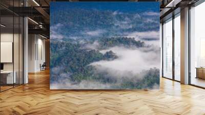 Landscape sea of mist on high mountain in  Phitsanulok province, Thailand. Wall mural