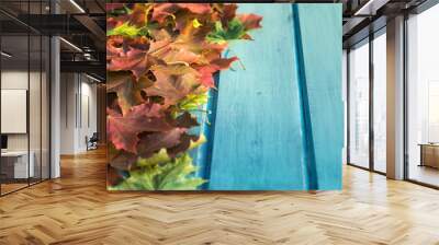 autumn maple leaves of red, green and yellow colours lie on a wooden background painted with paint i Wall mural