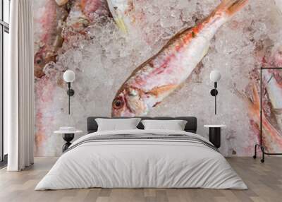 small fish on ice on the market by the sea Wall mural