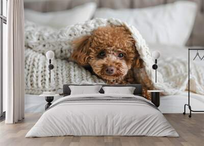 a dog is laying under a blanket on a bed Wall mural