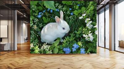 a white rabbit sitting in a field of flowers Wall mural