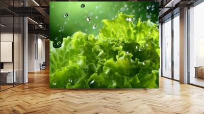 green lettuce leaves Wall mural