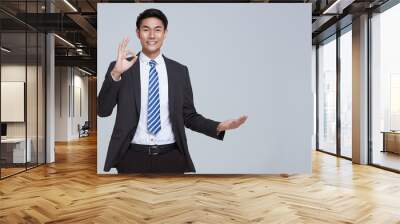 Handsome and friendly face asian businessman smile in formal suit gesture or showing hand ok on white background studio shot. Wall mural