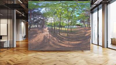 Ansan, South Korea - 12 June 2019. Panorama 360 degree view in park. Forest and Park 360 image, VR AR content. Wall mural