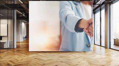 Businesswoman handshake and business people. Successful business concept. Wall mural