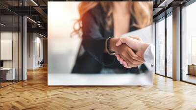 Businesswoman handshake and business people. Successful business concept. Wall mural