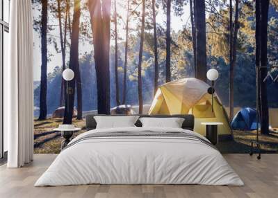 Camping and tent under the pine forest near the lake with beautiful sunlight in the morning Wall mural