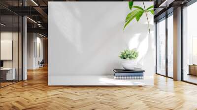 Mockup stack of book and houseplant on white wooden table, copy space for product display or montage. Wall mural