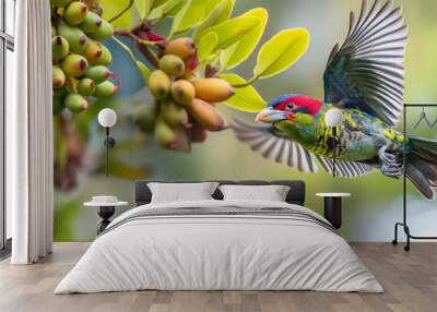 AI generator images of 
Psilopogon haemacephalus,coppersmith barbet, the mother bird is flying and holding the banyan fruit Feed two baby birds Wall mural