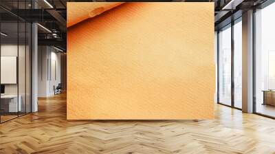 Paper texture and cut torn uneven soft edges, Brown Cardboard paper piece isolated on white background
 Wall mural