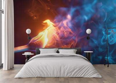 A wooden match that lights up and emits smoke on a black background Wall mural