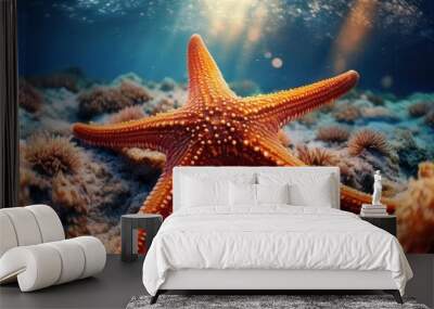  Close-up of a starfish resting on a coral bed, with sharp details on its texture, the backgr Wall mural