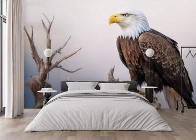 A bald eagle perched on a dead tree branch, with focus on its regal posture and keen eyes, t Wall mural