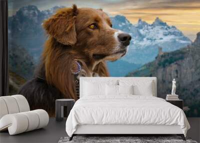 Platinum Beard Eagle Dog - A dog with the sharp eyes and beak of an eagle Wall mural