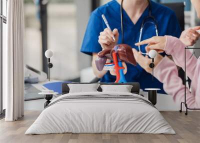 Caucasian liver professional female doctor explain to asian female patient using human liver model at desk in medical room, Liver cancer and Tumor, Jaundice, Viral Hepatitis A, B, C, D, E, cirrhosis Wall mural