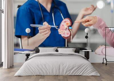 Kidney disease, Chronic kidney disease ckd, Female doctor explains the causes of the disease and treatment guidelines on kidney model to female asian patient at desk at urology hospital room. Wall mural