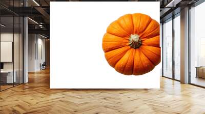 Pumpkin isolated on white background Wall mural