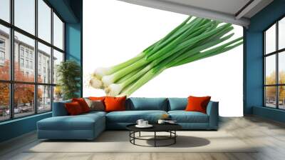 Young green onion isolated on white background Wall mural