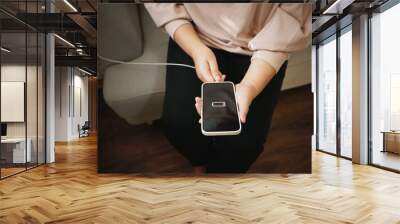 Woman hands Charging mobile phone battery with low battery. plugging a charger in a smart phone with energy bank powerbank power charger Modern lifestyle energy technology concept Wall mural