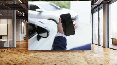 After a car accident, an insurance agent inspects the damaged vehicle. The agent takes photos, examines the wreck, and writes a report for repair claims. The injured driver seeks emergency help. Wall mural