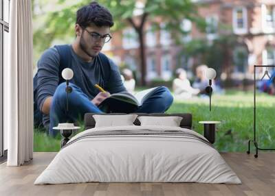 A young adult studying on a college campus lawn, surrounded by the hustle and bustle of student life and nature Wall mural