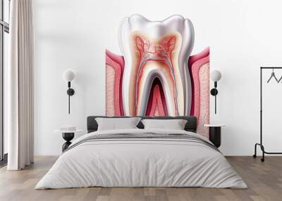 human teeth anatomy Wall mural