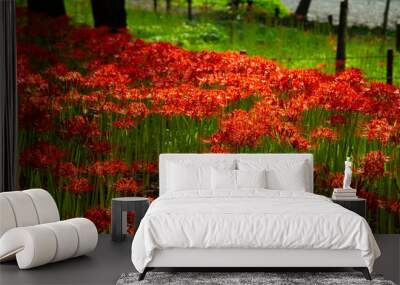 Fields of Spider Lily flowers in Kinchakuda Wall mural