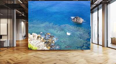 The sea of Amami Oshima Island Wall mural