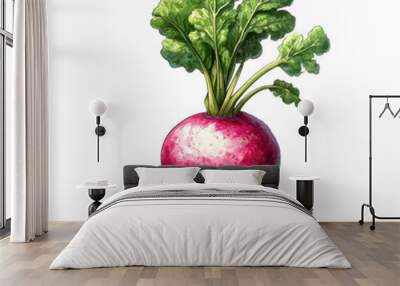 A close up of a red radish with green leaves. The radish is sitting in the dirt and he is freshly picked Wall mural