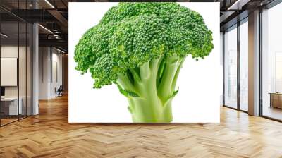 A large green broccoli head sits on a white background. The broccoli is fresh and vibrant, with a bright green color that stands out against the white background. Concept of health and vitality Wall mural