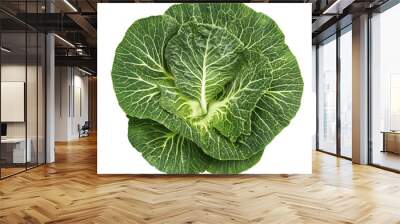 A large green leafy vegetable with white veins Wall mural