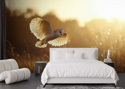 A barn owl flying across an open field at dusk, its wings illuminated by the soft light of sunset. Wall mural