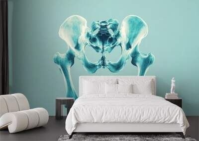 A flat X-ray icon of a human pelvis and hip bones, showing clear skeletal details, in blue tones. Wall mural