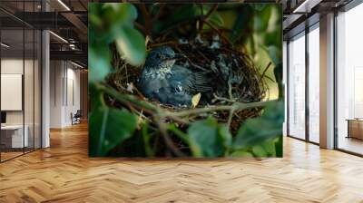 A baby bird is sitting in a nest in a tree Wall mural