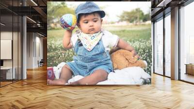 Cute little asian baby sitting in garden,vintage ton Wall mural