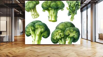 Five fresh broccoli florets isolated on a black background. Perfect for healthy eating, cooking, and food photography. Wall mural